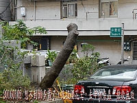 12484603_10208506428038885_1991338126568767765_o