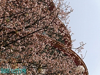 12671972_10209177524815885_494490367956315082_o