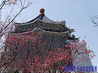 12771737_10208909077944881_396245785205051728_o