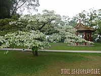 12977144_10209359913335484_9034990153719770120_o