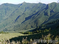 1454701_10202752188066482_2105412181_n