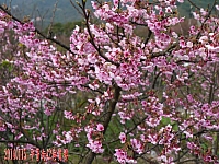 1509317_10203072333989930_1348455469_n