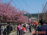 1546079_10203147646672700_1758443047_n