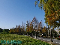 15776678_10211797248507340_3998716778348461004_o