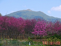 1621700_10203196206166657_306875_n