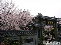 1904150_10203515230022054_1658836294_n