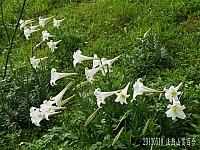 408400_10201221897290169_261780561_n