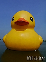 994955_10202534942715484_1256620763_n