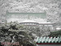 p145364548486_640x640